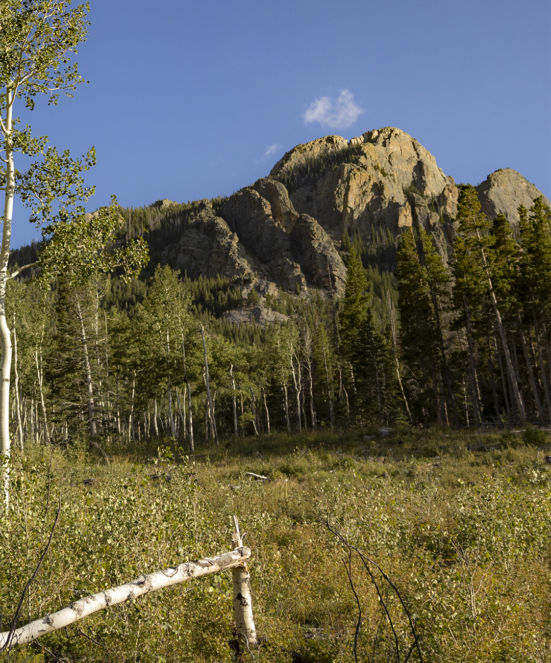 Homer Rouse Trail 4
