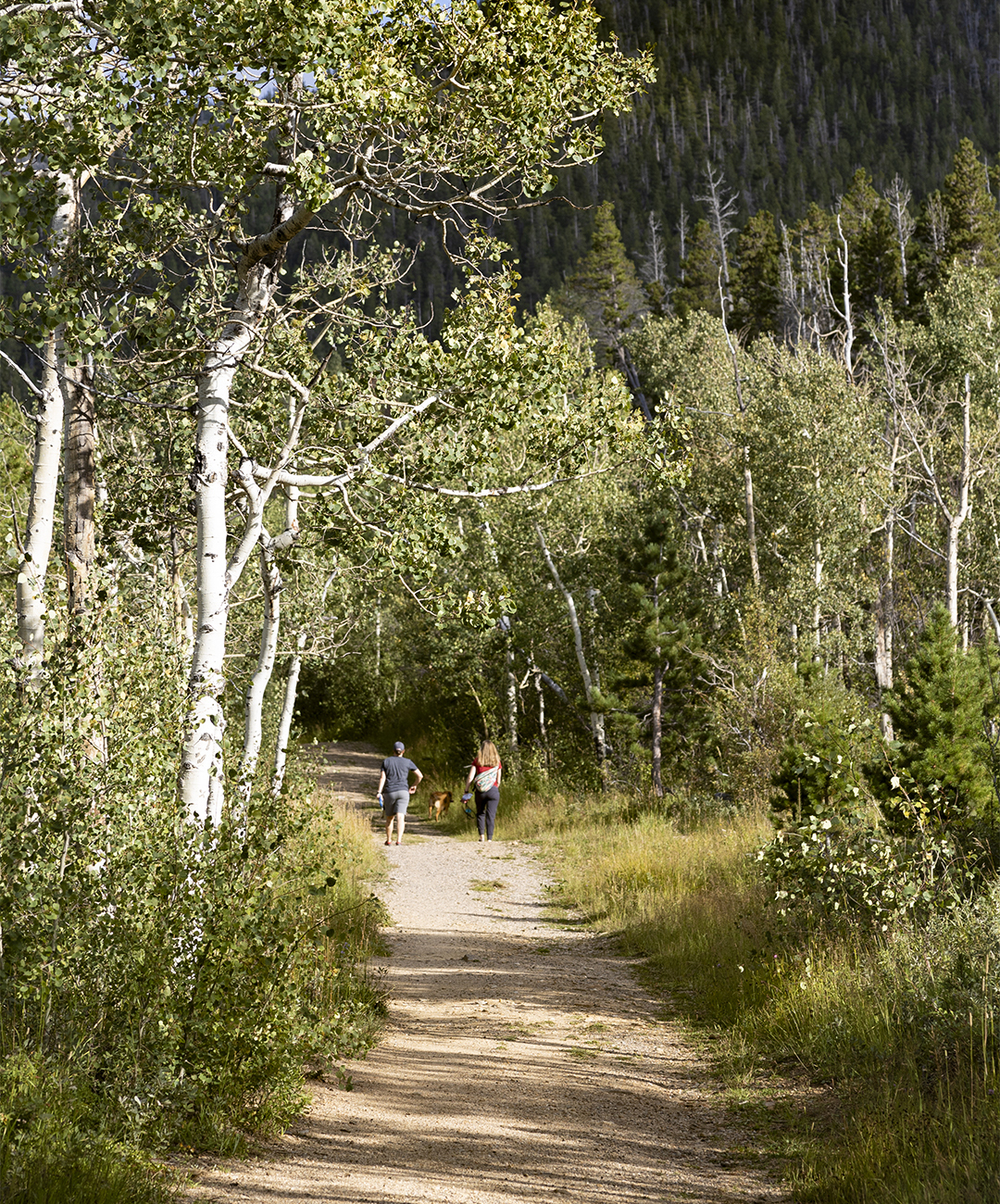 Homer Rouse Trail 1