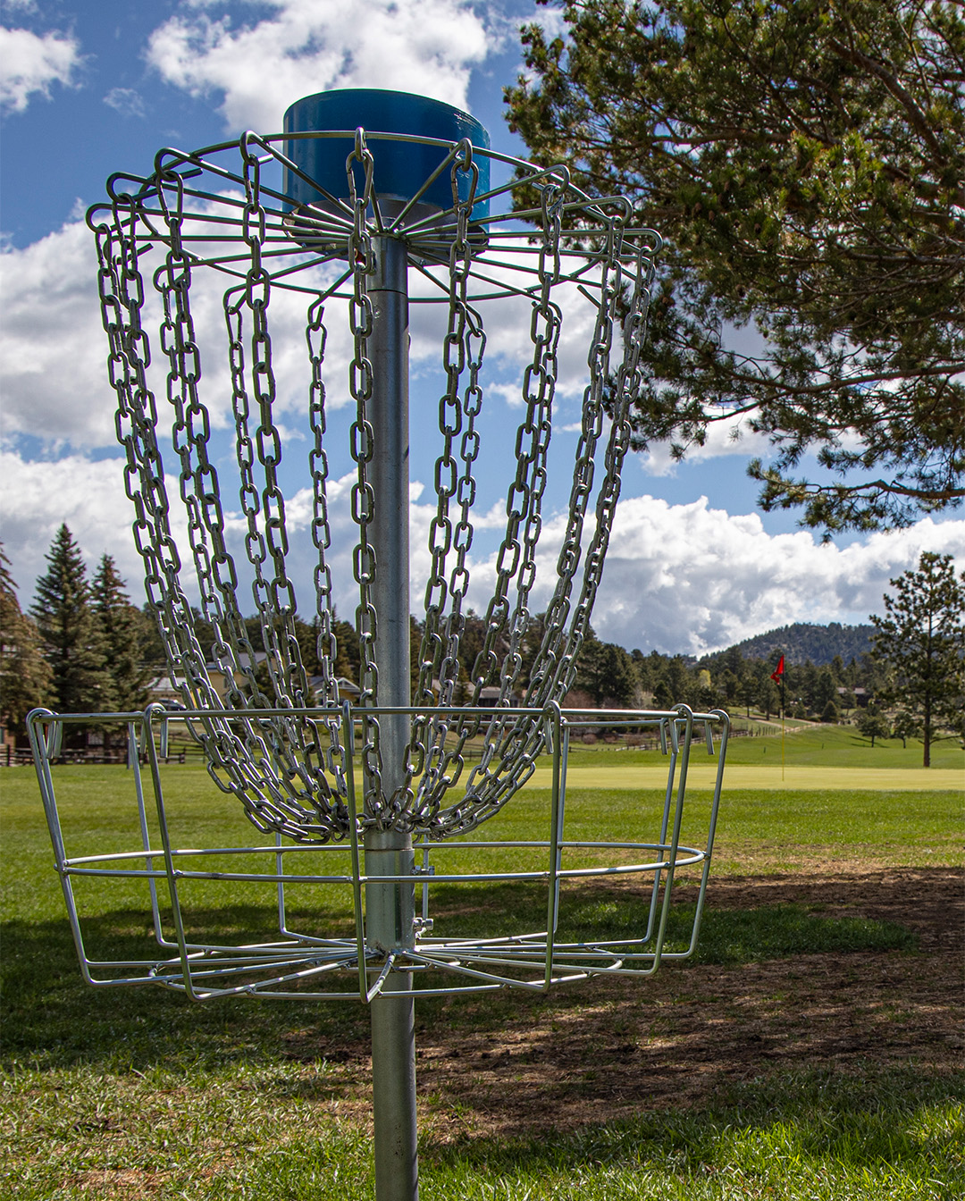 Disc Golf